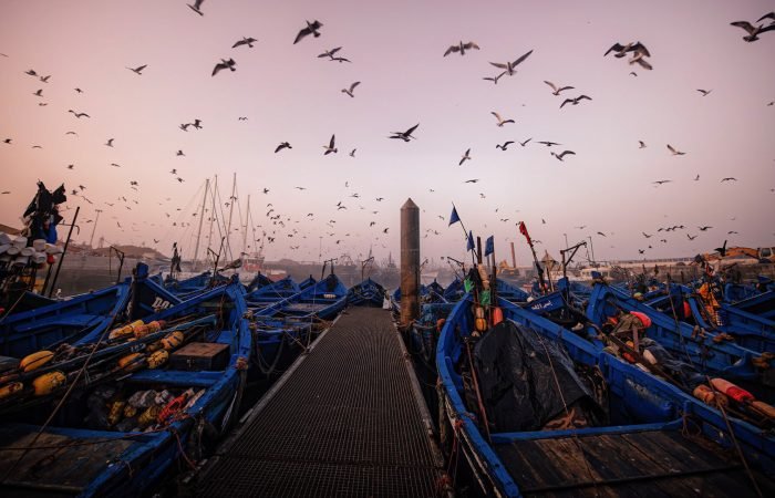 Excursión a Essaouira desde Marrakech