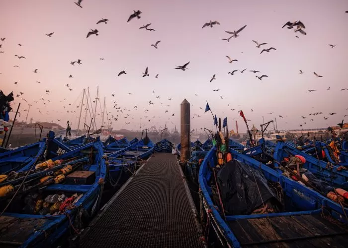 Excursión a Essaouira desde Marrakech