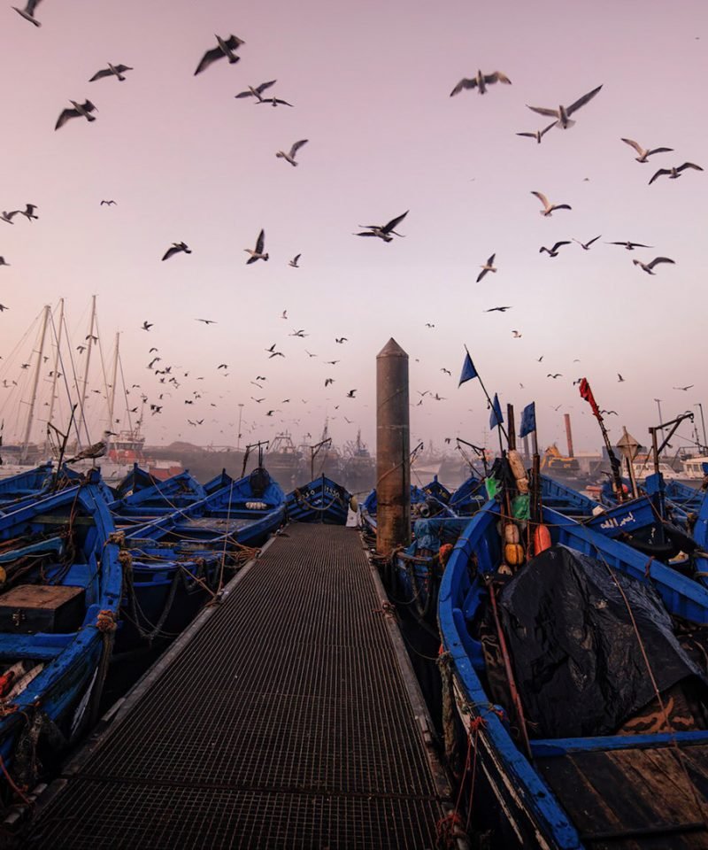 Excursión a Essaouira desde Marrakech