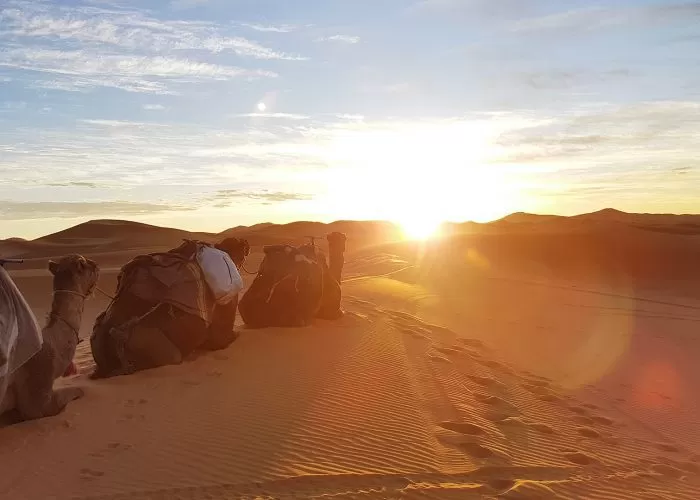 Tour Marrakech a Fez por el desierto de Merzouga