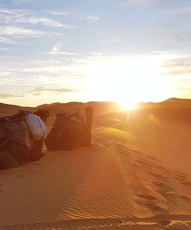 Tour Marrakech a Fez por el desierto de Merzouga