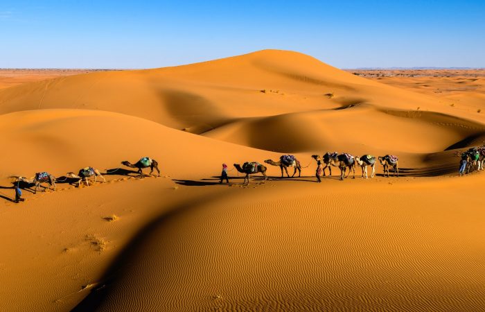 Fez a Marrakech por el Desierto en 3 dias