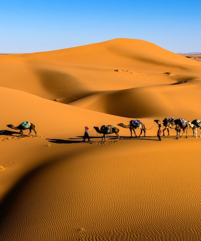 Fez a Marrakech por el Desierto en 3 dias