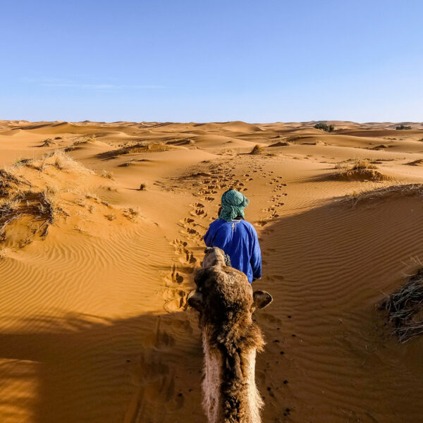 Fez a Marrakech por el desierto de Merzouga