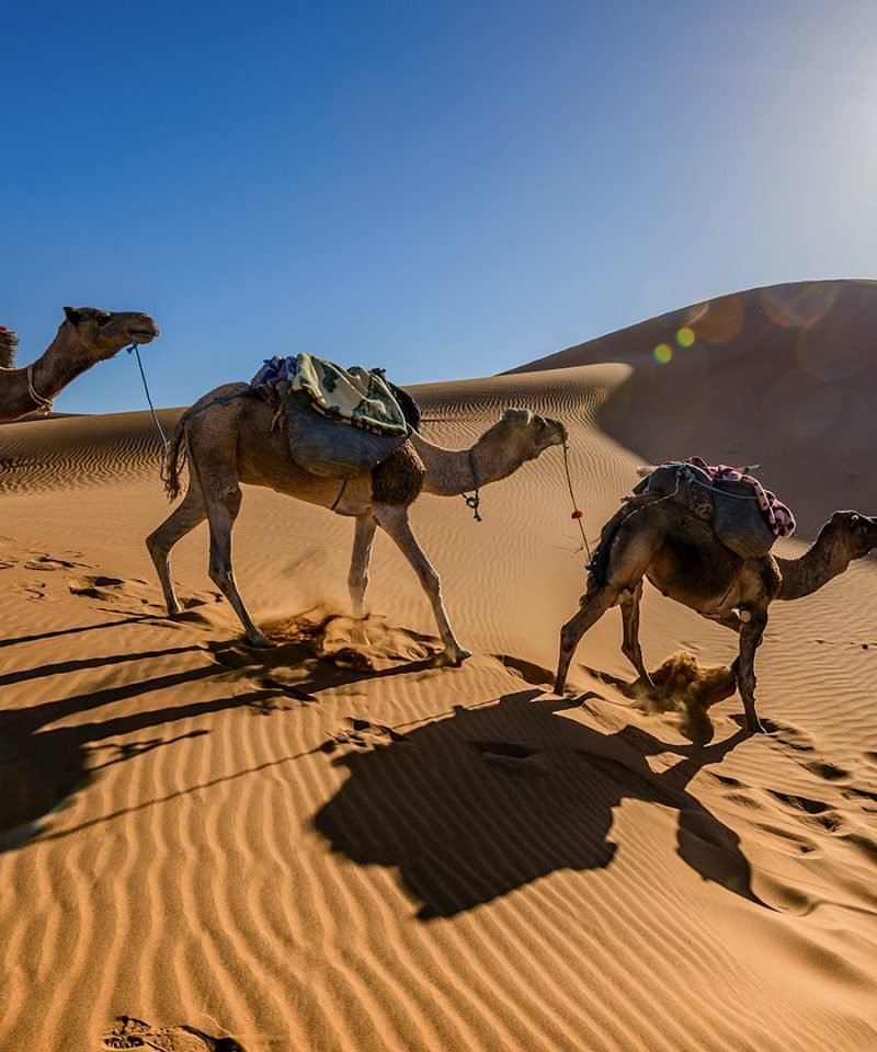 Tour de 4 días desde Marrakech a Fez por el Desierto