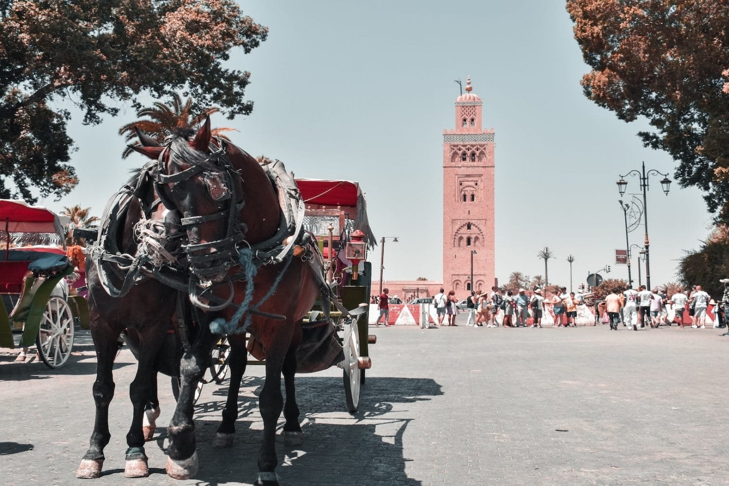 La plaza jemaa lefna en Marrakech