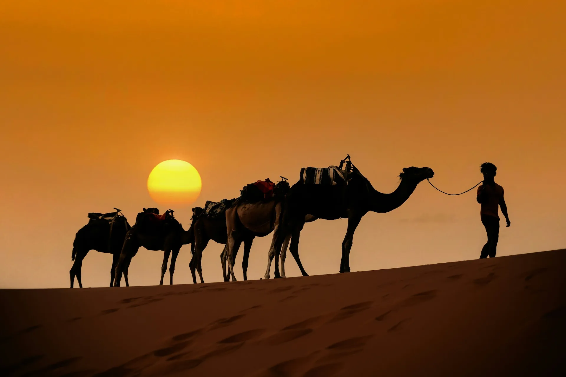 Atardecer en las dunas del desierto del Sáhara, Marruecos